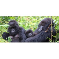 Choose Uganda Safaris logo - Similar company to Sunset Adventures Ltd
