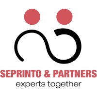 Seprinto & Partners logo - Similar company to Scanokem