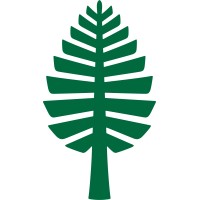 Lone Pine Consulting