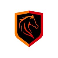 Payoja Soft IT services logo - Similar company to Jasova Technologies Private Limited