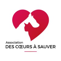 Des Cœurs à Sauver logo - Similar company to E.Réel | Jeux De Cohésion Et D'Immersion En Réalité Virtuelle