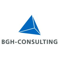 BGH-Consulting logo - Similar company to Nextgen Board E.V.