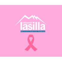 AutoExpress La Silla logo - Similar company to Flink Logistics