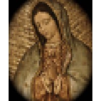Mother of the Americas Institute logo - Similar company to Priestpro
