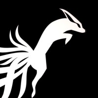 Digital Fox Agency
