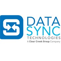 DataSync Technologies, Inc. logo - Similar company to Visual Solutions