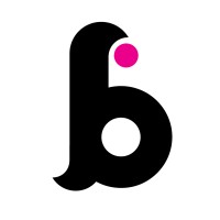 Budgie Photo logo - Similar company to C.L.G Rath Éanna Raheny Gaa