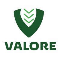 Valore Gestão e Meio Ambiente logo - Similar company to Ambifort