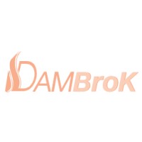 DAMBROK logo - Similar company to Damfor