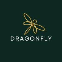 Dragonfly Investment Limited logo - Similar company to The Rede Company