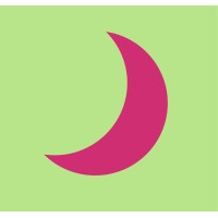 Desselun logo - Similar company to Bold Digital Solutions