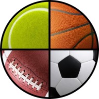 Innovative Sport Surfacing logo - Similar company to Martinet Recchia