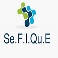 SERVICE DE FORMATION D'INTÉGRATION ET DE QUALIFICATION EN ENTREPRISE-Se.F.I.Qu.E logo - Similar company to Klett World Languages Canada