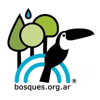 Bosques Nativos Argentinos logo - Similar company to Ecompensate