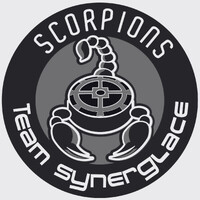 Scorpions de Mulhouse logo - Similar company to Web In Informatique