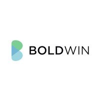 Boldwin LTD logo - Similar company to Programmaticx