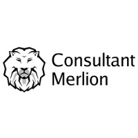 Consultant Merlion logo - Similar company to Consultant - Software Developer
