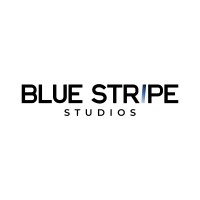 BLUE STRIPE logo - Similar company to Pulse Analytics & Insights
