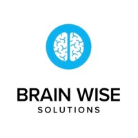 Brain Wise Solutions logo - Similar company to Wise It Solutions