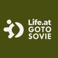 Gotosovie Group logo - Similar company to Dm Group