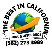 Barua Insurance logo - Similar company to Agedleadstore.Com