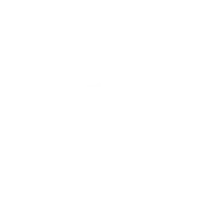 Faisal Islamic Bank of Egypt logo - Similar company to Apex Paa