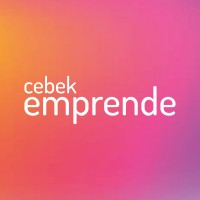 Cebek Emprende logo - Similar company to Cebek - Confederación Empresarial De Bizkaia