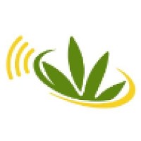 CannabisRadio.com logo - Similar company to Switchboard