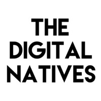 The Digital Natives logo - Similar company to Digital Natives