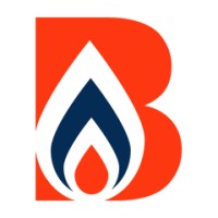 Bog Standard Plumbing & Heating logo - Similar company to Aadya Consulting & Services