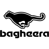 Bagheera AB logo - Similar company to Bortex