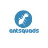 Antsquads logo - Similar company to Antsq