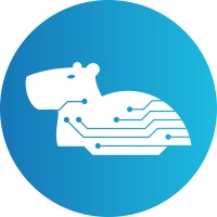 Capidev.net logo - Similar company to E-Services