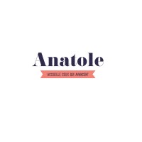 ANATOLE logo - Similar company to Synchronicite