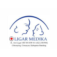Ligar Medika logo - Similar company to Pt. Medika Digital Solusindo