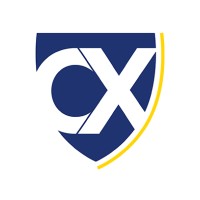 International Customer Experience Institute logo - Similar company to V2 Consulting