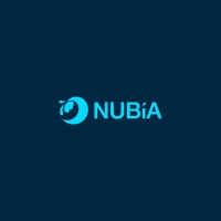 NUBiA Mega Tech logo - Similar company to Ivorypay