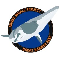 The Minke Whale Project