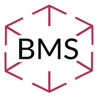 BMS Papier Concept logo - Similar company to Kunert Wellpappe