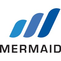 Mermaid Subsea Services (Co) Ltd Saudi Arabia logo - Similar company to Stoltd Partner Ltd