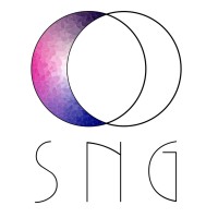 SNG Singularity logo - Similar company to 8B Business Network Agency