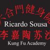 Ricardo Sousa Kung Fu Academy logo - Similar company to Fort Worth Combatives