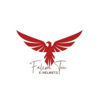 FalconTru-eHelmet logo - Similar company to Eka Web Solutions