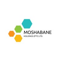 Moshabane Holdings. logo - Similar company to Coppertop Consulting Pty Ltd