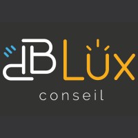 dBLux Conseil logo - Similar company to Rotin Design