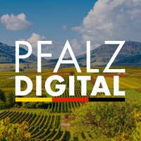 Pfalz Digital logo - Similar company to Wirtschaftsjunioren Kaiserslautern