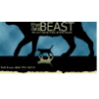 The Data Beast (Idg Asset Group)