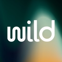 Wild Strategy logo - Similar company to Peace Cabin By Matt Hardisty