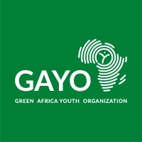 Green Africa Youth Organisation (GAYO)Botswana logo - Similar company to Integrated Elvee Services Ltd