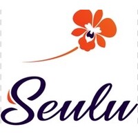 Seulu logo - Similar company to Topaz Financial Services